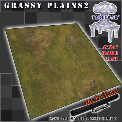GRASSY PLAINS 2 GAMING MAT (4' X 4')